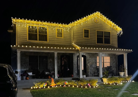 Screenshot 2026-02-21 033100