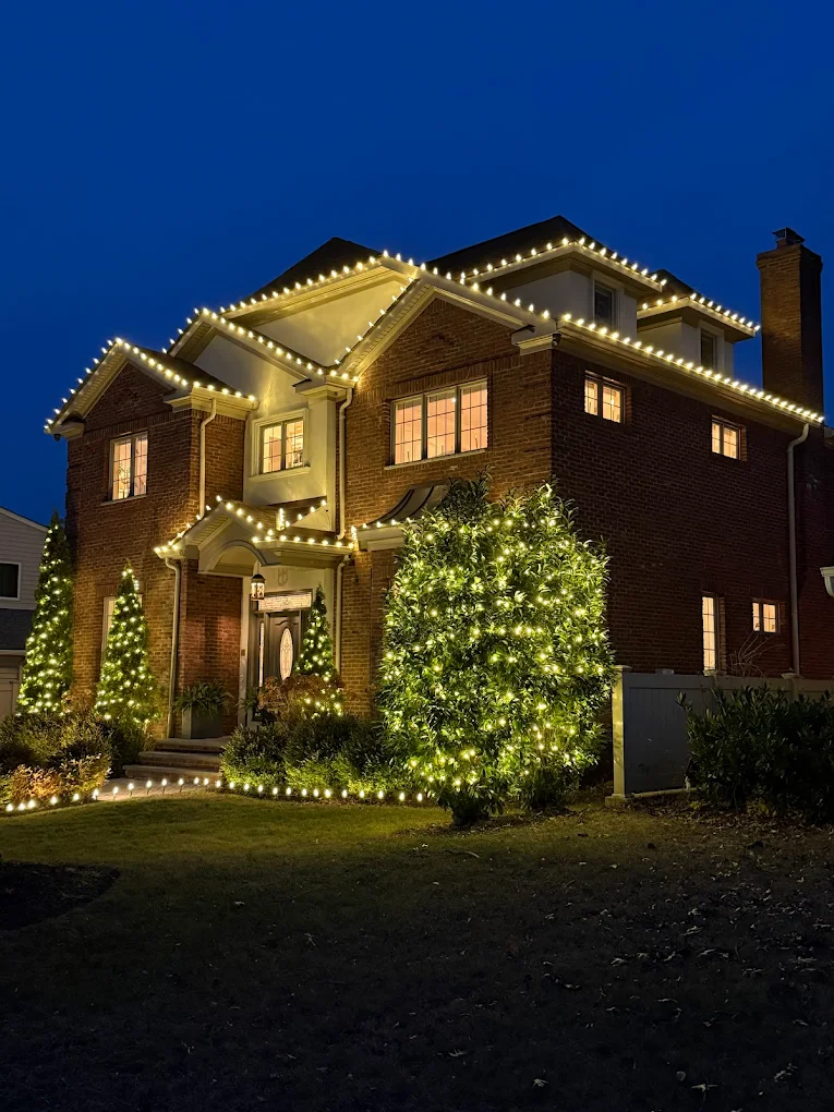 Commercial Christmas Light Installation